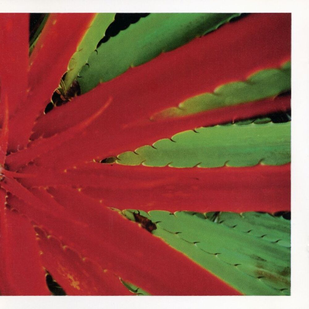 Jejune - This Afternoons Malady  LP LP